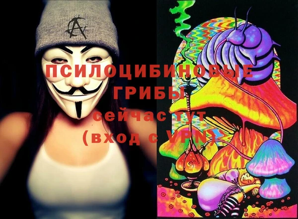 мдпв Липки