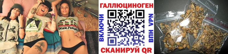 omg маркетплейс  Нефтегорск  Галлюциногенные грибы Psilocybine cubensis 